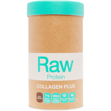 Amazonia Raw Protein Collagen Plus - Choc Hazelnut