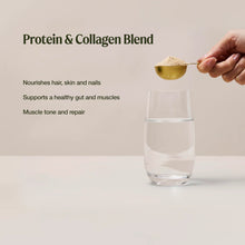 Amazonia Raw Protein Collagen Plus - Vanilla Maple